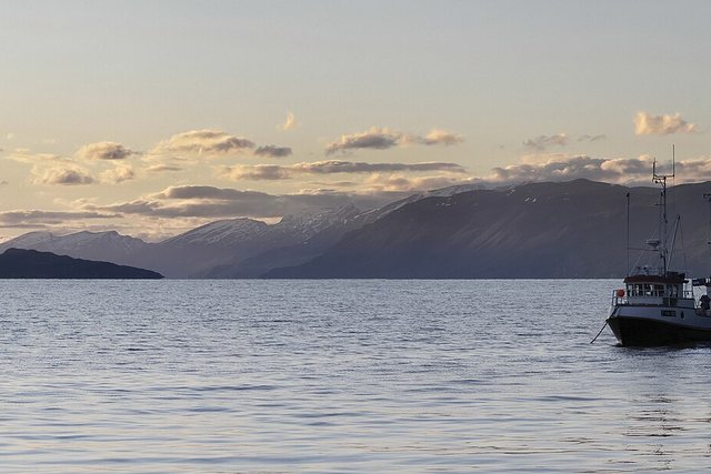 A small boat lying still on a calm fjord in the last evening light