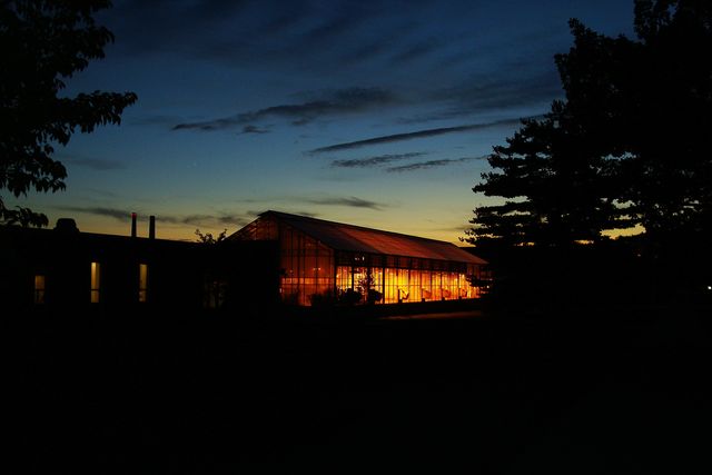 A greenhouse glowing warmly at dusk beneath dark trees