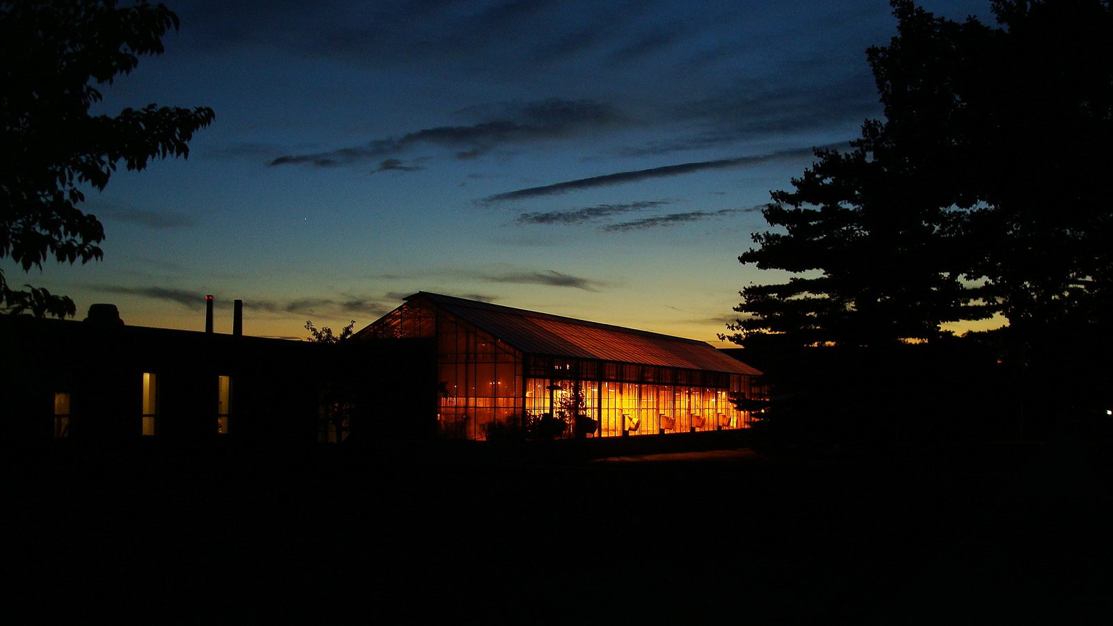 A greenhouse glowing warmly at dusk beneath dark trees