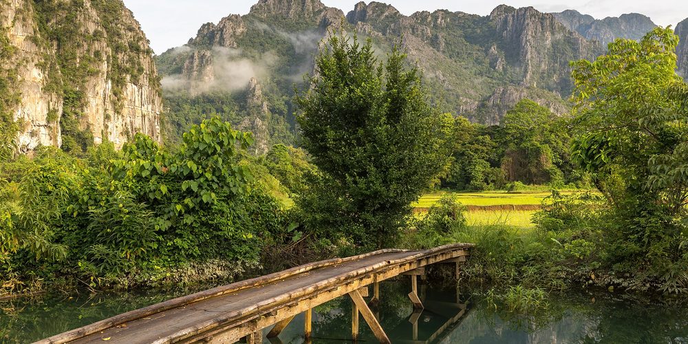 A wooden footbridge across still water