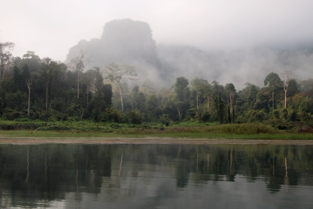 A misty limestone cliff rises behind a shore of tall rainforest trees, reflected in a calm lake in the foreground.