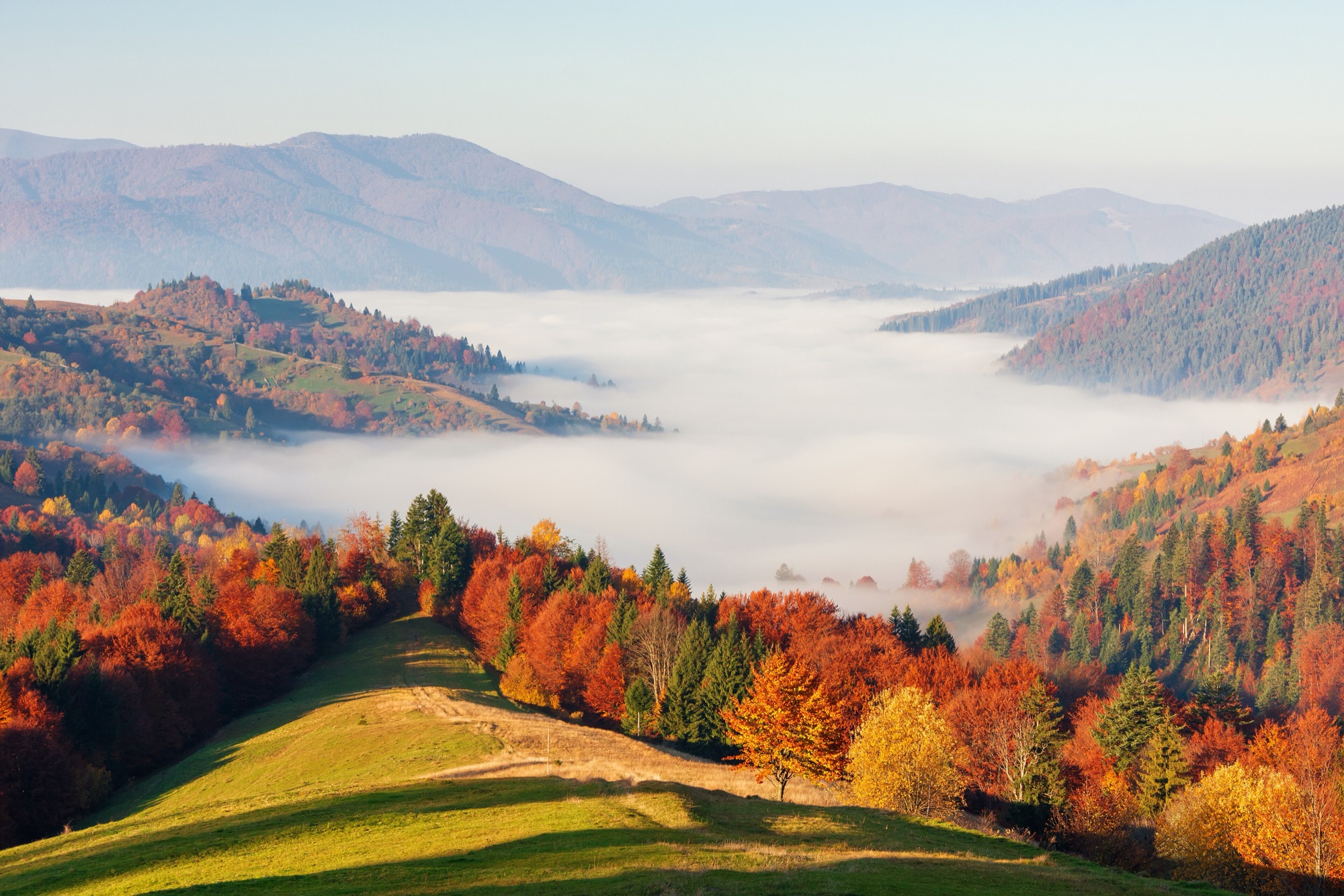 A sunlit green meadow runs down between red, orange and gold autumn trees towards a valley filled with white fog, with blue mountains beyond.