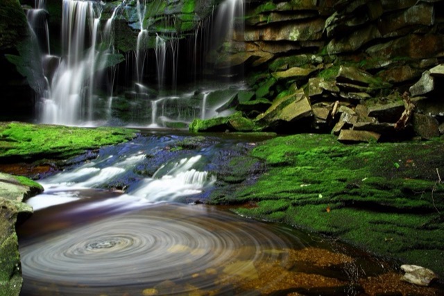 A waterfall pours in thin white threads over dark mossy ledges into a stream, which runs past bright green moss into a clear pool with a slow swirl on its surface.
