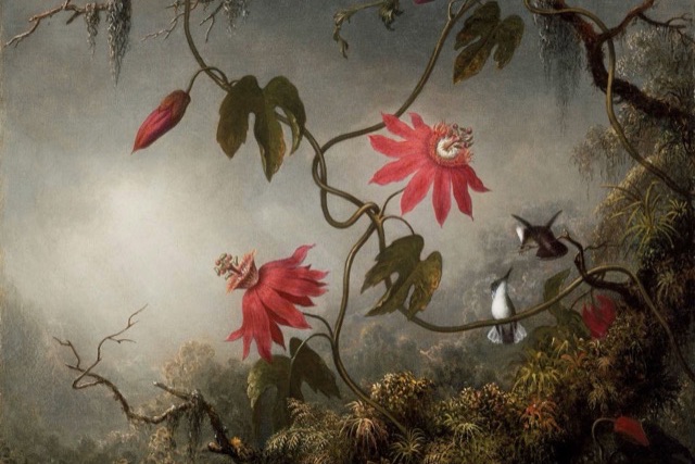 A painting of a winding vine with two red passion flowers and buds, two hummingbirds on the right, and mist and mossy plants below.
