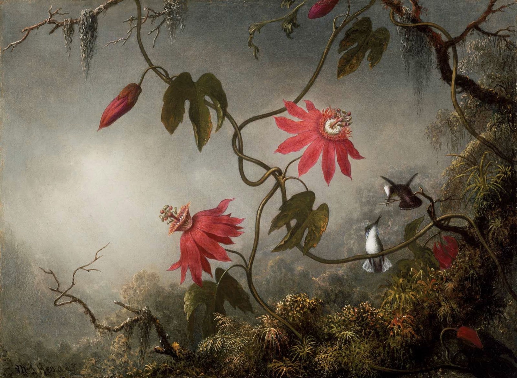 A painting of a winding vine with two red passion flowers and buds, two hummingbirds on the right, and mist and mossy plants below.