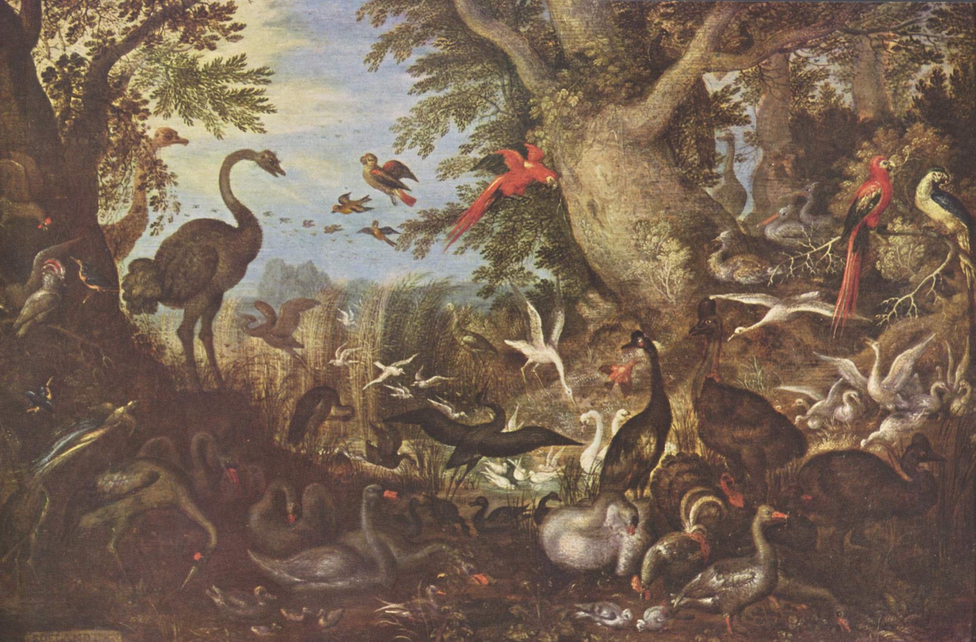A wooded glade crowded with birds of many kinds, including ostriches, macaws, swans, geese and herons, around a pool fringed with reeds.