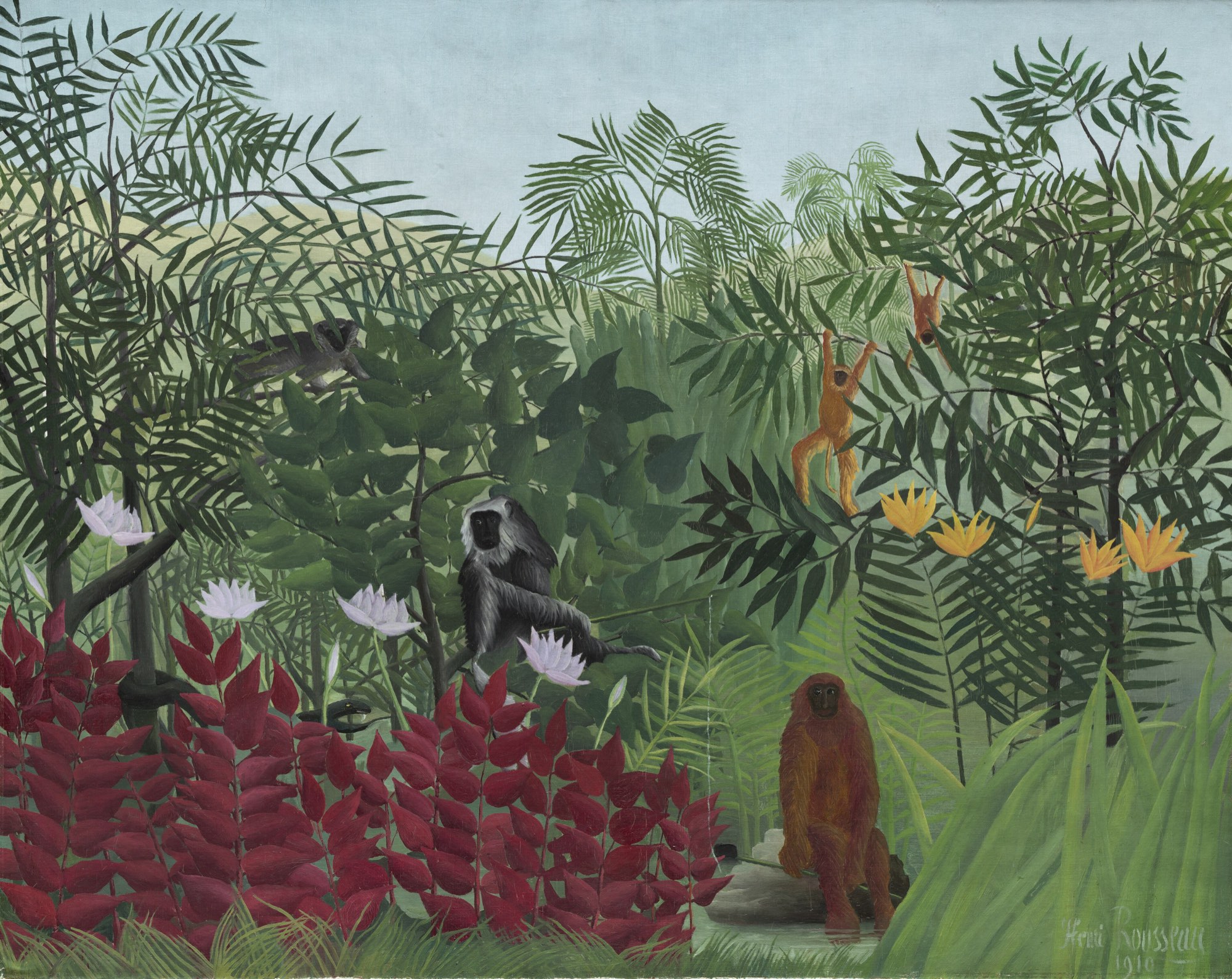 A painted jungle of palms and broad leaves with a grey monkey among white lilies, a russet monkey by the water and two orange monkeys hanging in a tree.