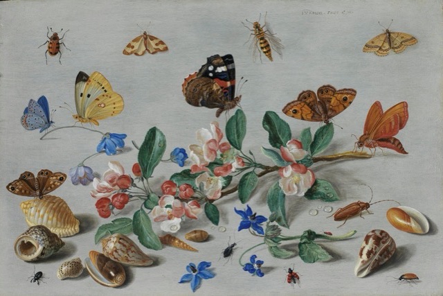 A branch of pink and white apple blossom on a pale grey surface, surrounded by butterflies, moths, beetles, blue flowers and seashells.