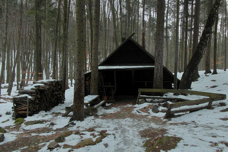 A small wooden cabin among bare trees in the snow